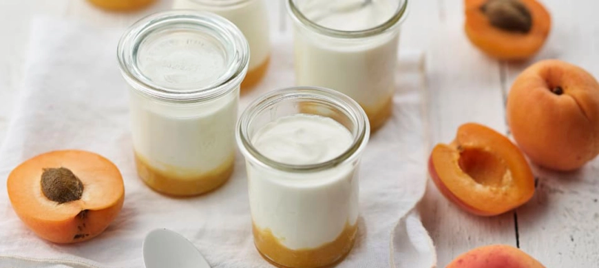 Modo fermentar con Thermomix