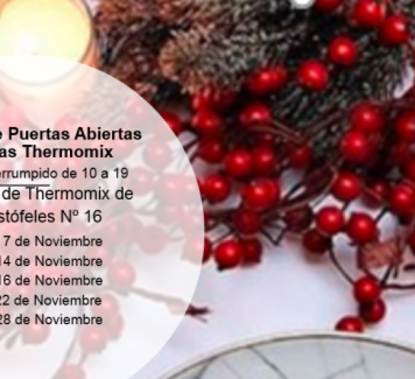 Jornadas de Puertas Abiertas Navideñas Thermomix® Málaga Mefistófeles 16